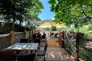 Afrika Lodge