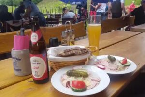 Alpe Rothenfels am Dachseck