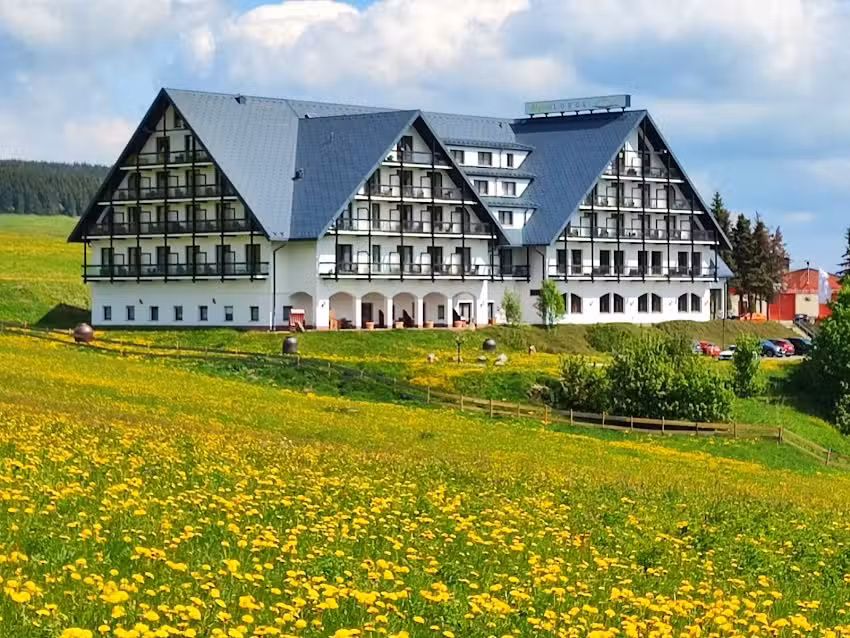 Alpina Lodge Hotel Oberwiesenthal