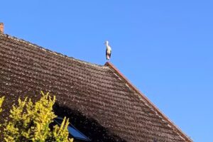 Anne’s Gaststätte