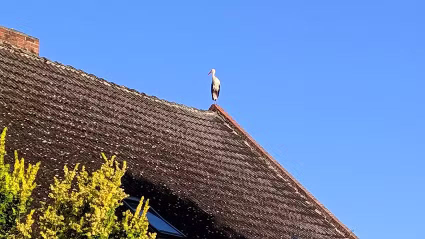 Anne&rsquo;s Gastst&auml;tte