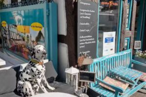 Apfelkern & Kolibri Bad Vilbel