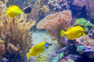 Aquarium Wilhelmshaven