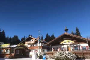 Arber-Alm