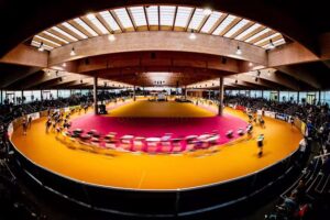 arena geisingen