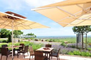 Arens Hotel 327m NN