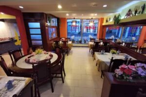 Asia Bambus Montabaur