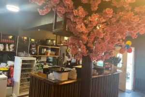 Asia kitchen & Sushi & Bubble Tee