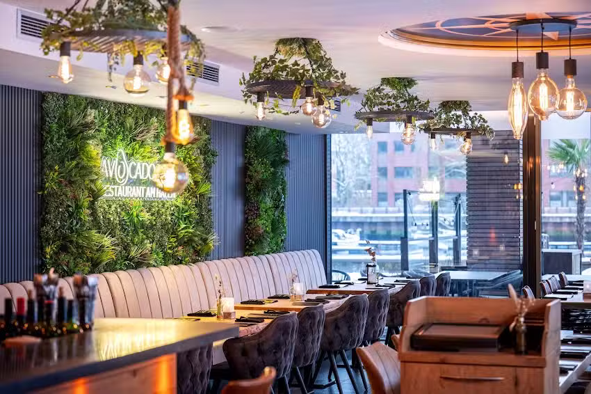 Avocado Zest am Hafen