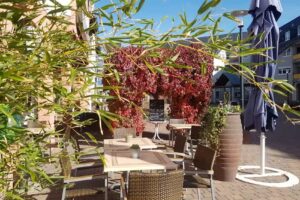 Babo Caf&eacute; Bistro