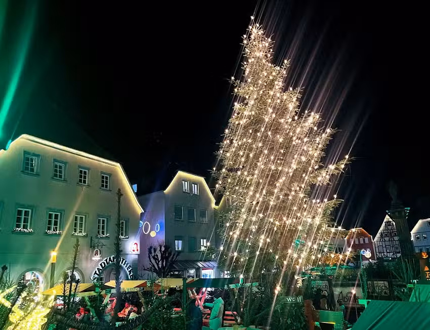 Bad Neust&auml;dter Punschwald