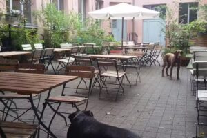 BARCELONA Tapas Bar Caf&eacute; &ndash; Leipzig