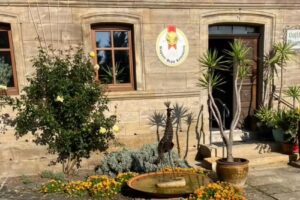 Baumann&rsquo;s/Morgenroth