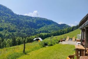 Baumgartner Alm