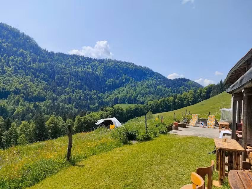 Baumgartner Alm