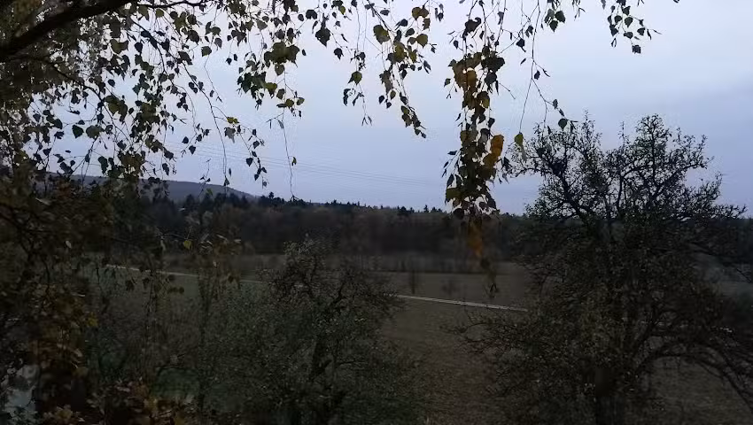 Baumpflege Andreas Dauven