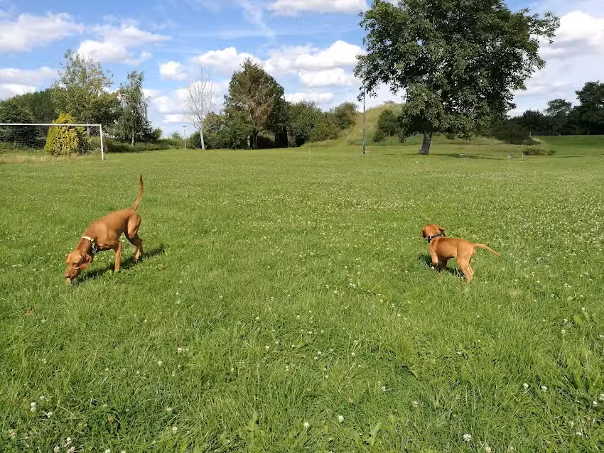 Beatrice H&ouml;hne Schankwirtschaft