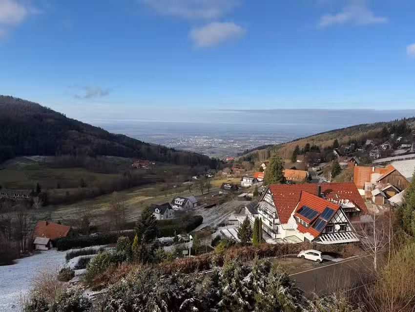 Berghof Gr&uuml;ner Baum Hotel-Restaurant