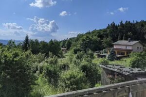 Bergpension Tannenhof