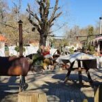 Biergarten