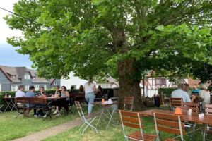 Biergarten Rosenh&ouml;he