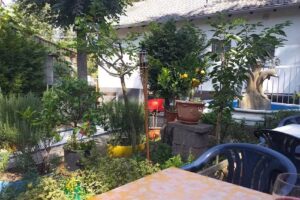 Bistro am Minigolfplatz