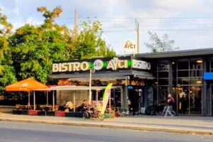 Bistro Avci