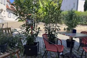 Bistro Cafe Miljöh