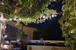Bistro/Galerie Das Niederlagshaus