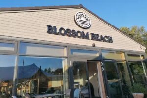 Blossom Beach