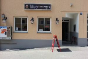 Blue Monkeys