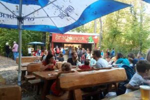 Brachionest Imbiss