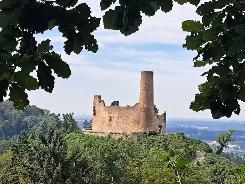 Burgruine Windeck Weinheim