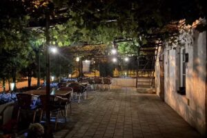 Cafe 3 Burgen