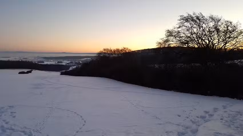 Cafe Restaurant Eden