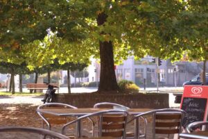 Café Treff – am Rathaus – Ulm Jungingen