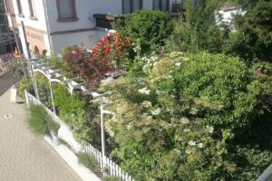 Café „Zum Rosengarten“
