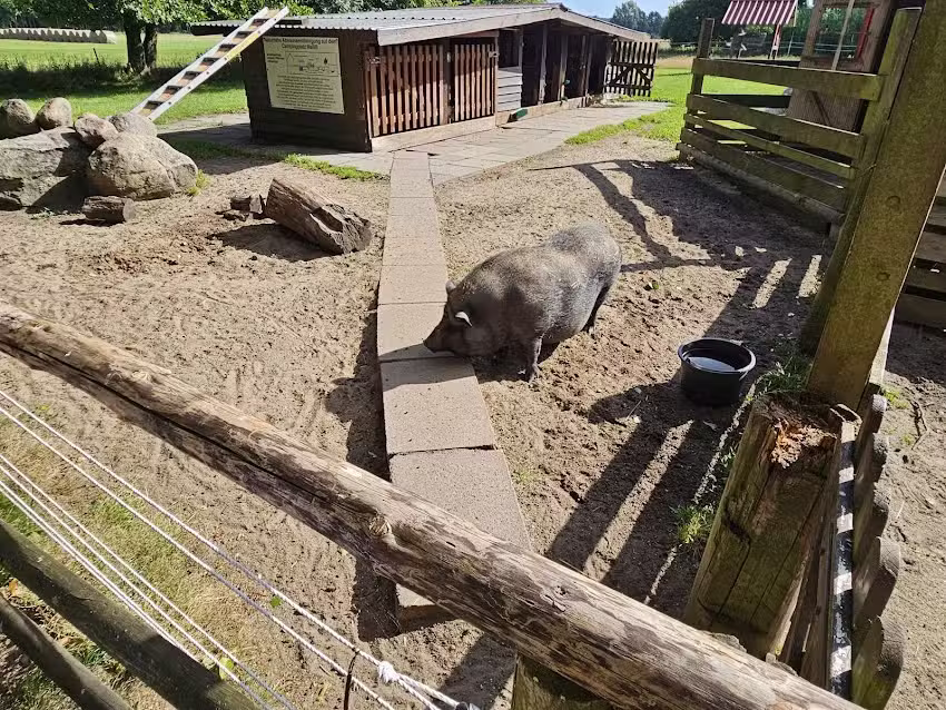 Campingplatz am Wiesengrund