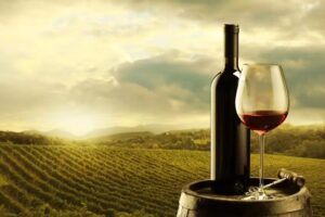 Casa del Vino – Töging
