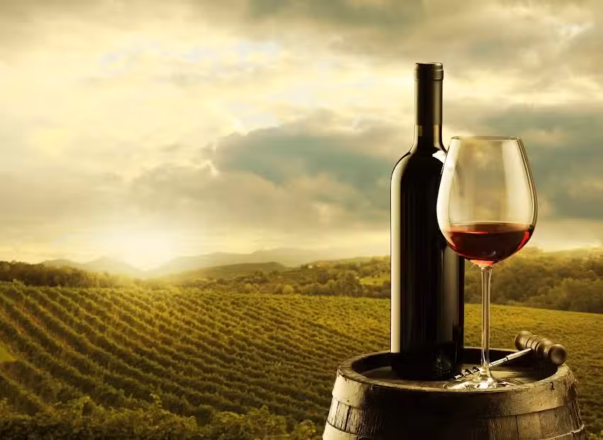 Casa del Vino &ndash; T&ouml;ging