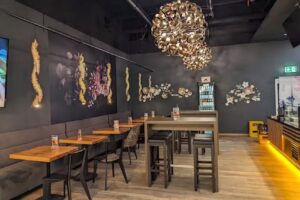Dai Poke Bowls Franken Center – Seoul Spoon