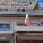 D&auml;nisches Eisparadies