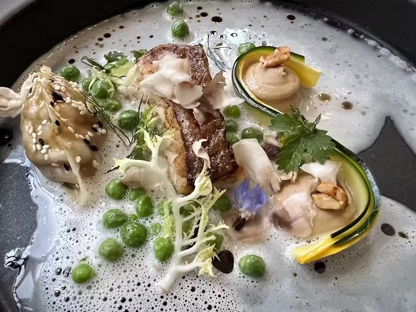 DANZA by better taste