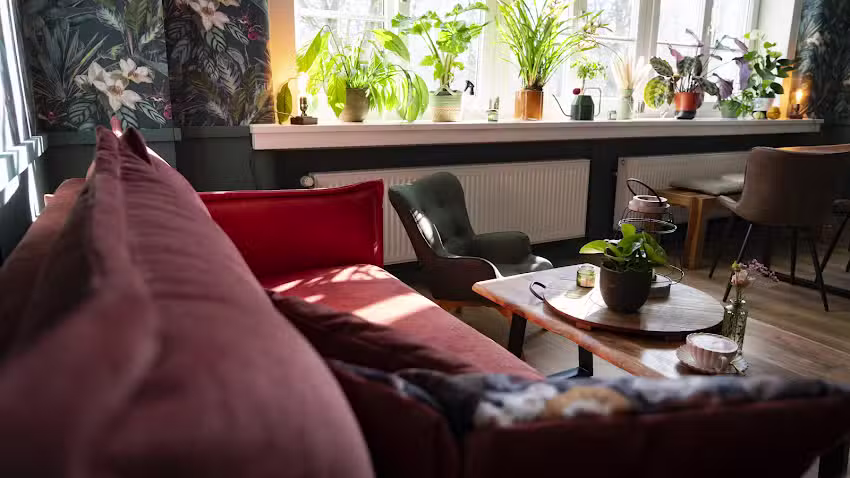 Der geheimnisvolle Garten