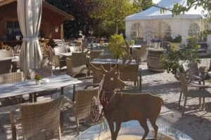 Der Hirschgarten