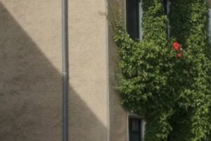 Dimitris Aussenposten