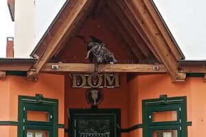 Dom Steakhaus & Cafe