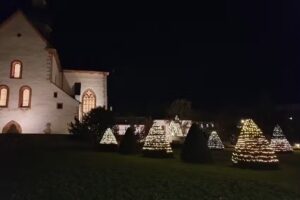 Domäne Steinberg – Kloster Eberbach