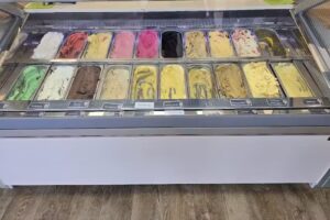 Eisbar Eiswerkstatt Niendorf