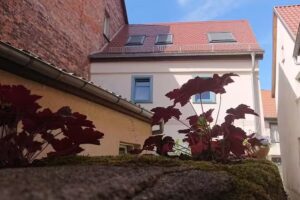 Eiscafe „Zur alten Teichmühle“